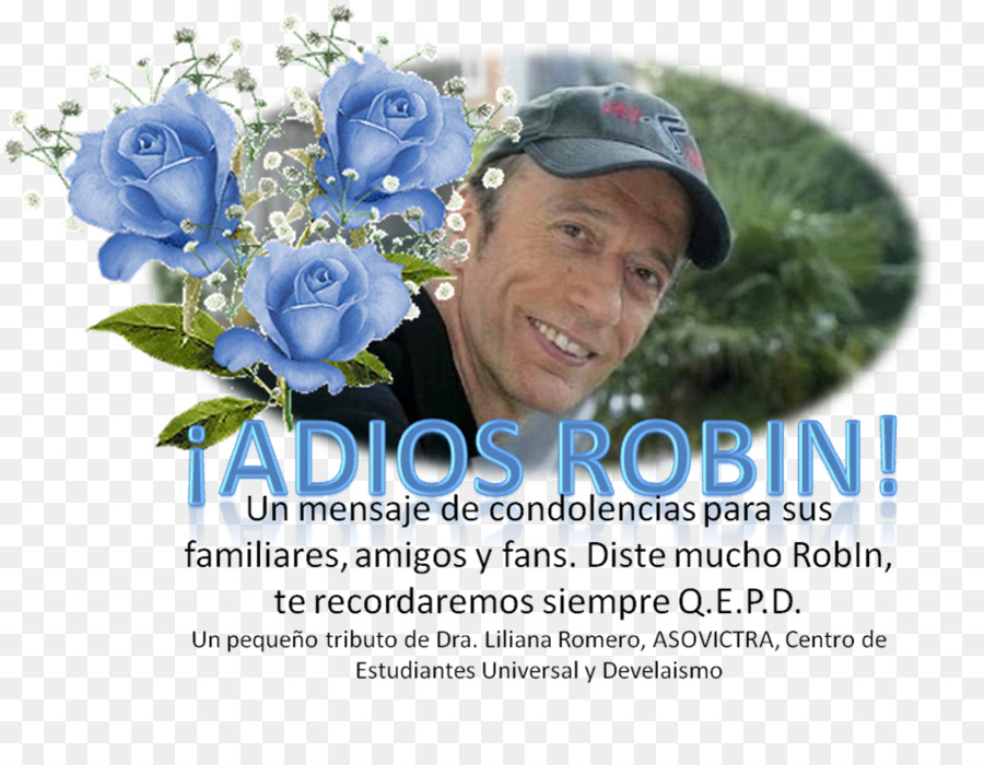 Flor，Publicidad PNG