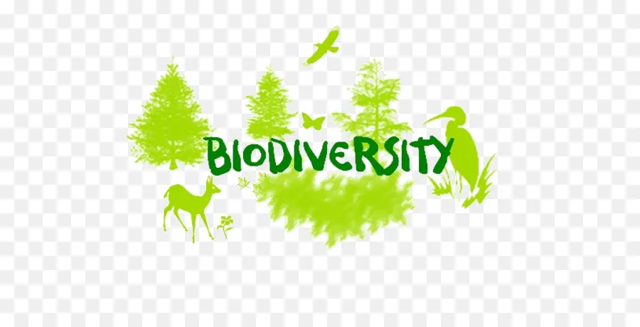 La Biodiversidad，La Pérdida De La Biodiversidad PNG