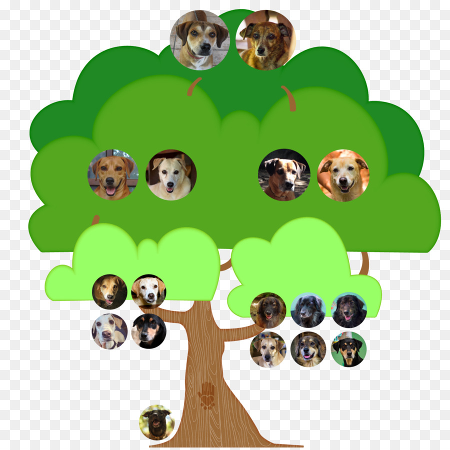 Árbol，La Historieta PNG