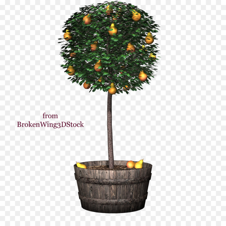 Árbol，Maceta PNG