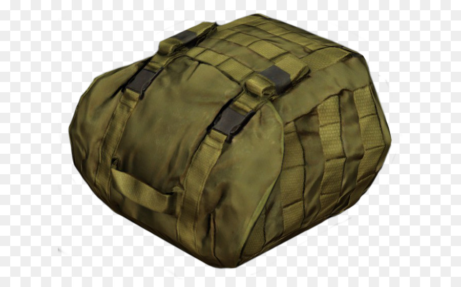 Bolsa，Dayz PNG