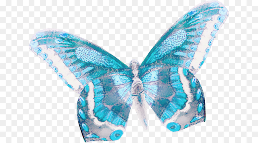 Mariposa，Azul PNG