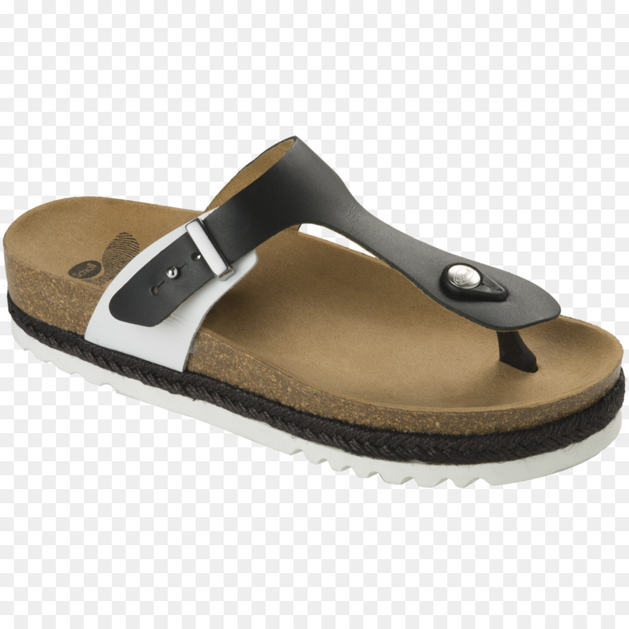 Zapatilla，Dr Scholl PNG