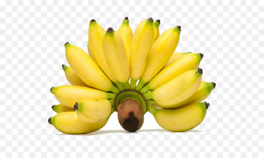 Pisang Goreng，Lady Finger Banana PNG