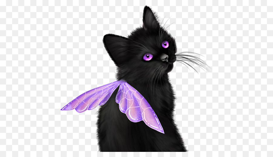 Gatito，Gato Negro PNG