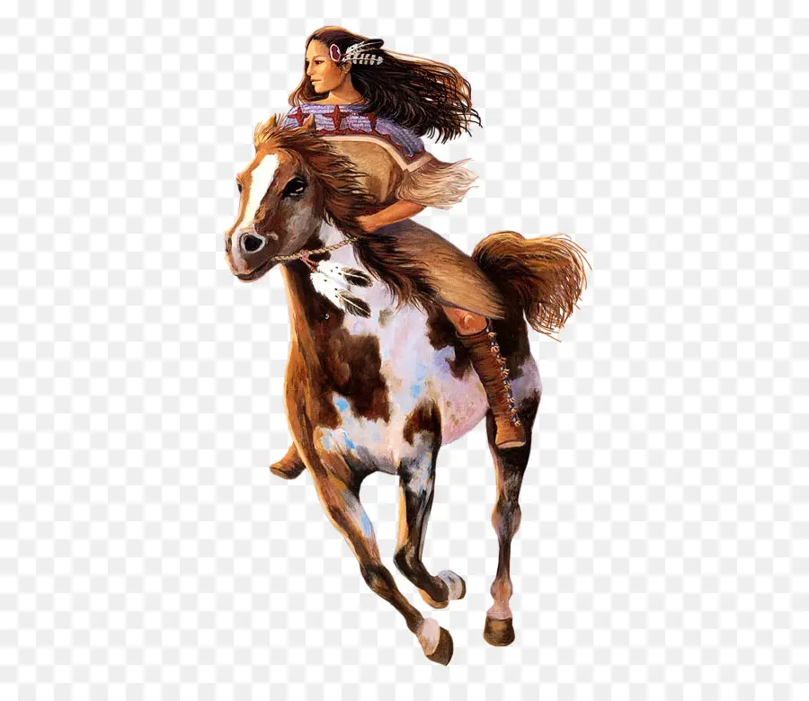 Mujer A Caballo，Equitación PNG