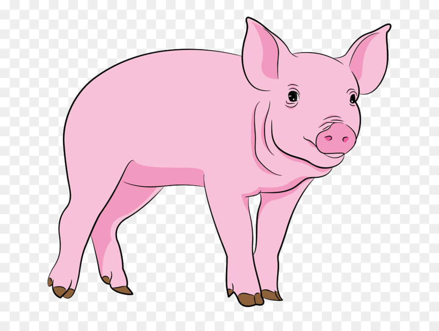 Dibujo De Cochinillo Rosa，Cerdo PNG