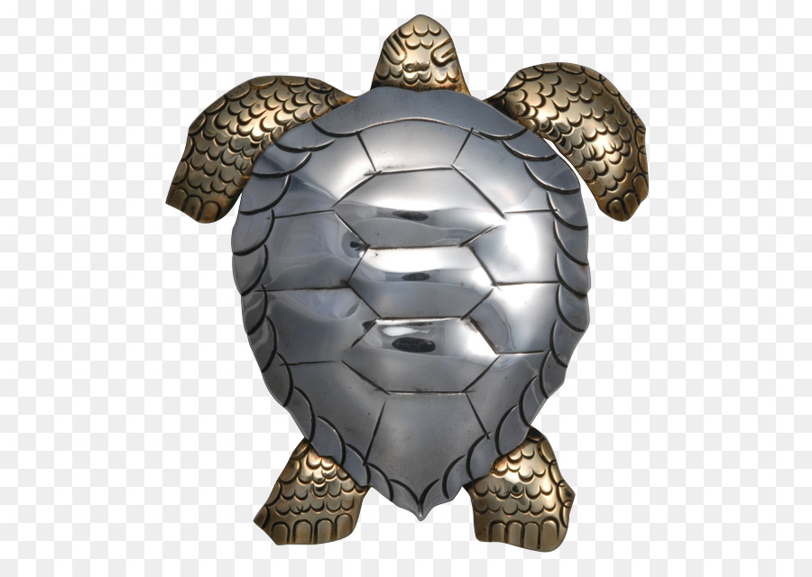 Pin，Tortuga PNG