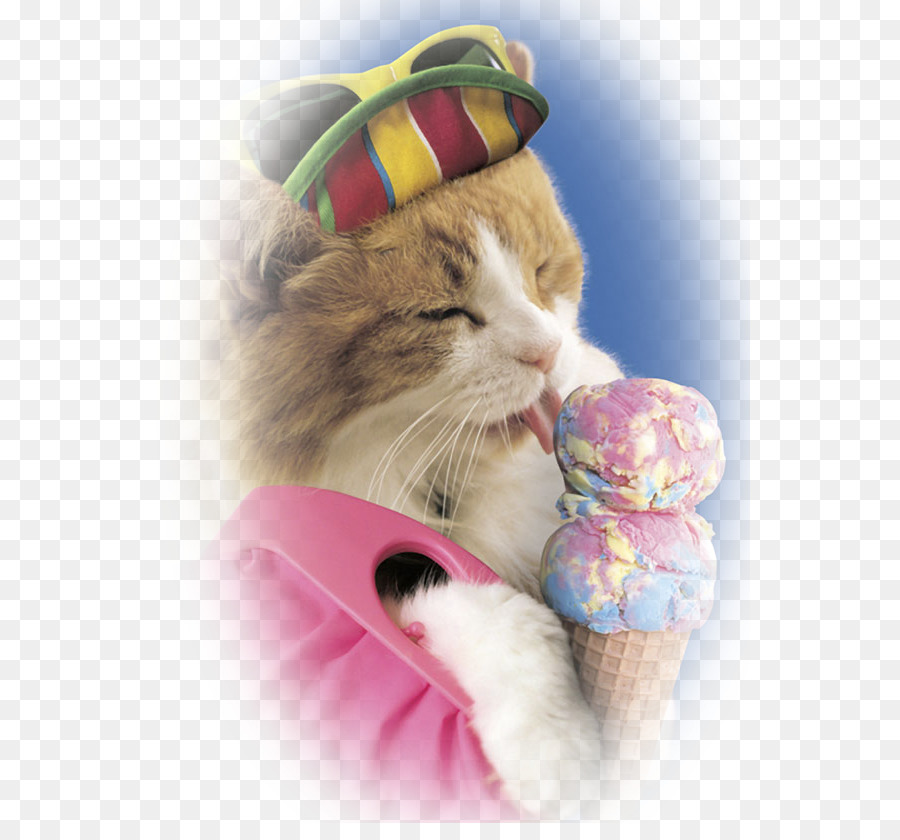 Helado，Gato PNG