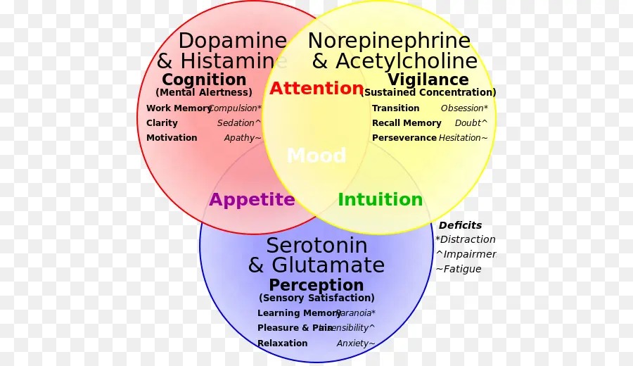 Los Neurotransmisores，Dopamina PNG