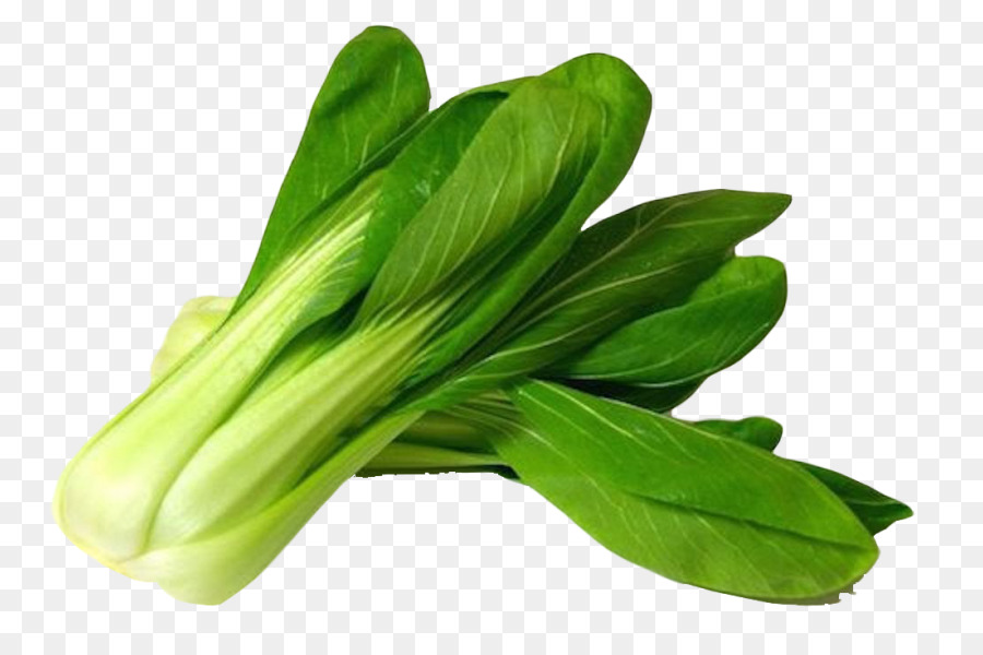 Bok Choi，Verde PNG