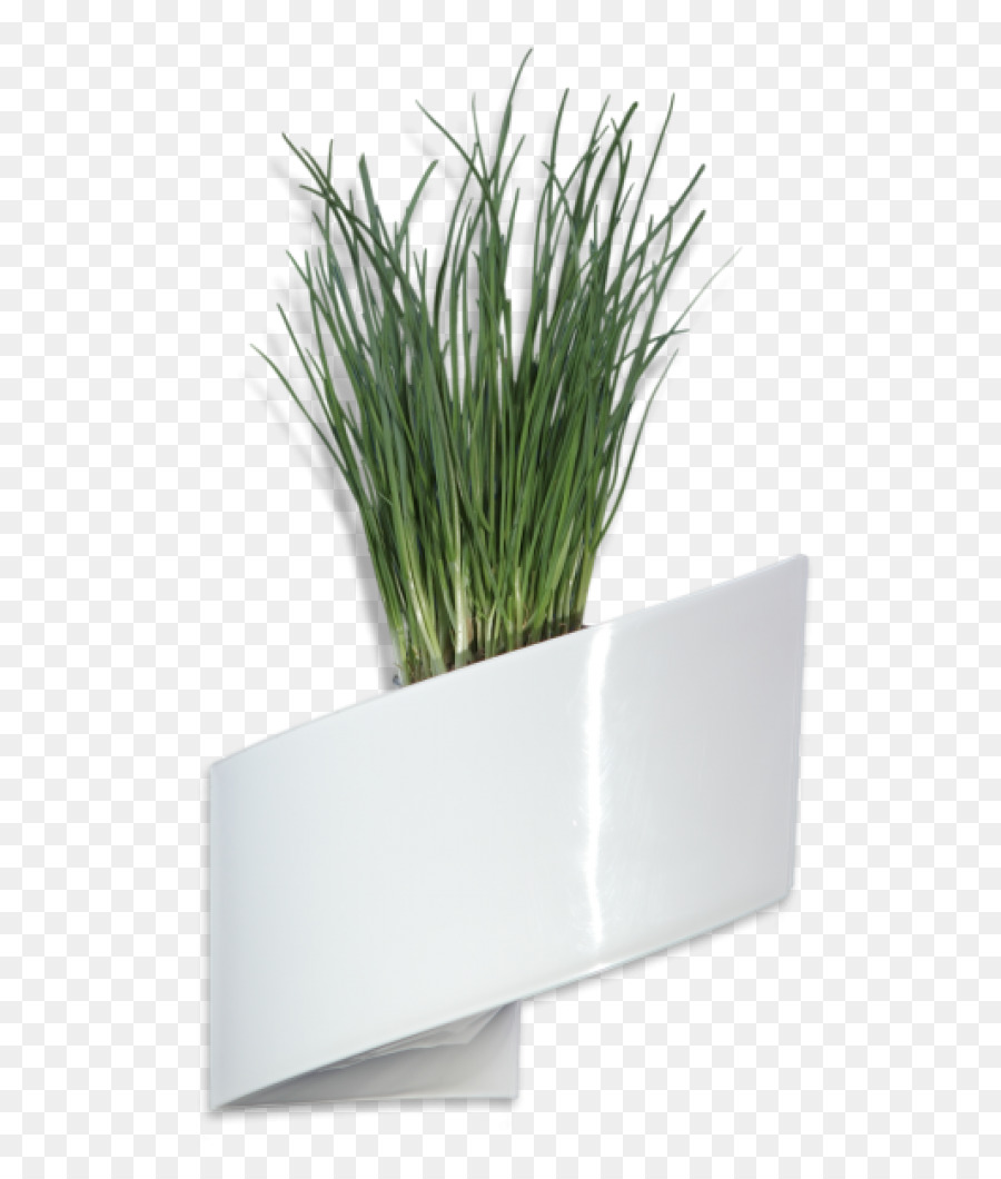 Maceta，Planta De Casa PNG