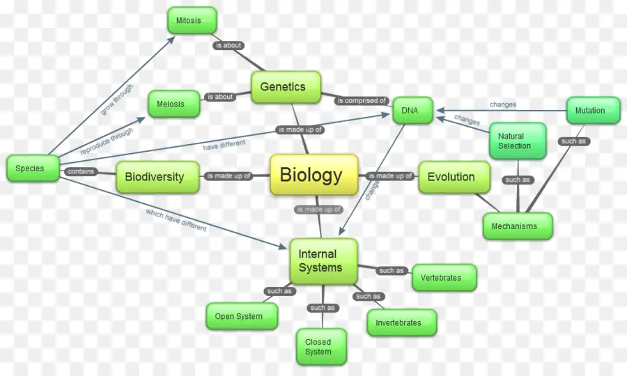 Mapa Mental De Biología，Genética PNG