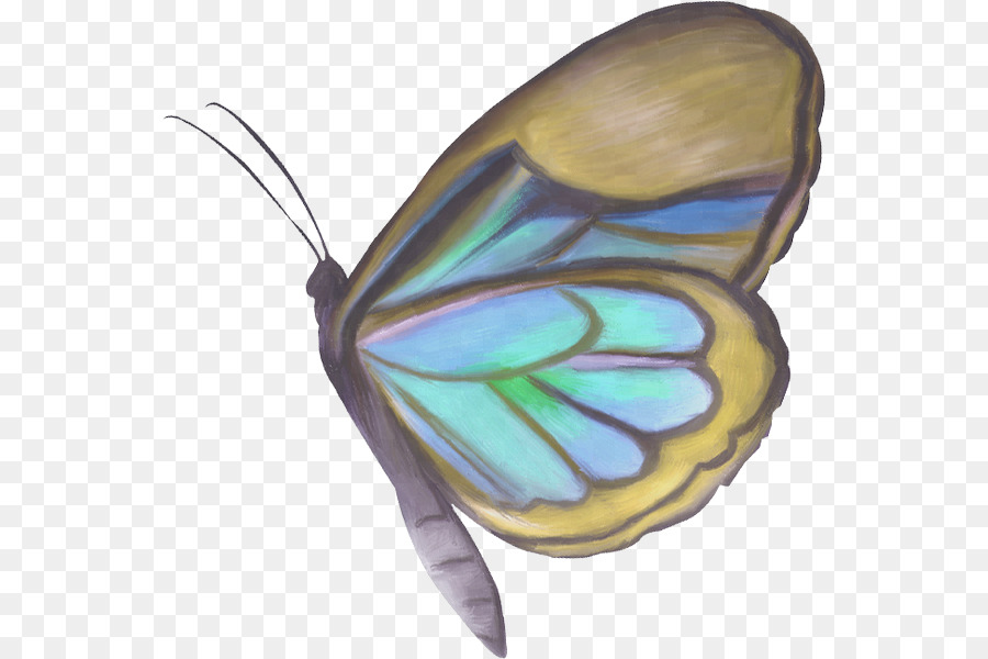 La Mariposa Monarca，Mariposa PNG