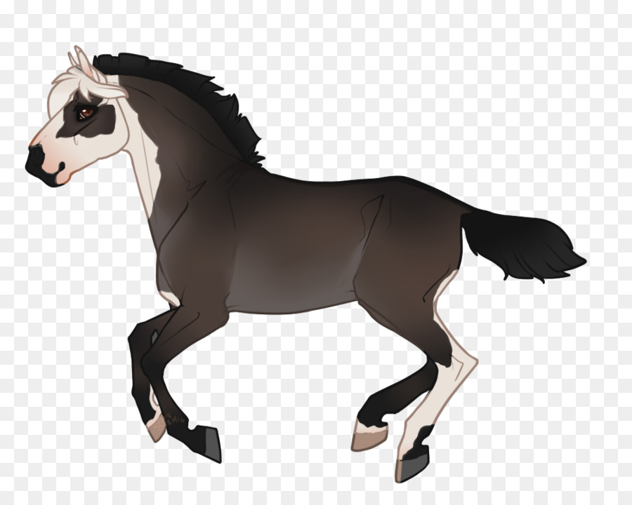 Caballo，Equino PNG