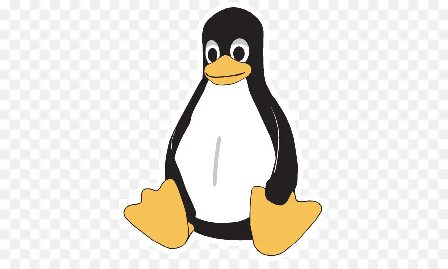 Pingüino，Pájaro PNG