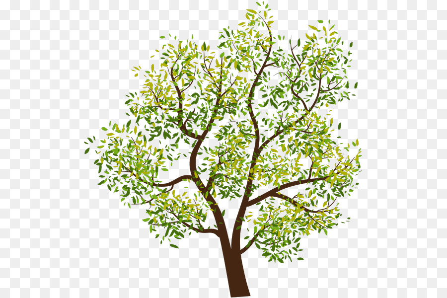 árbol，Dibujo PNG