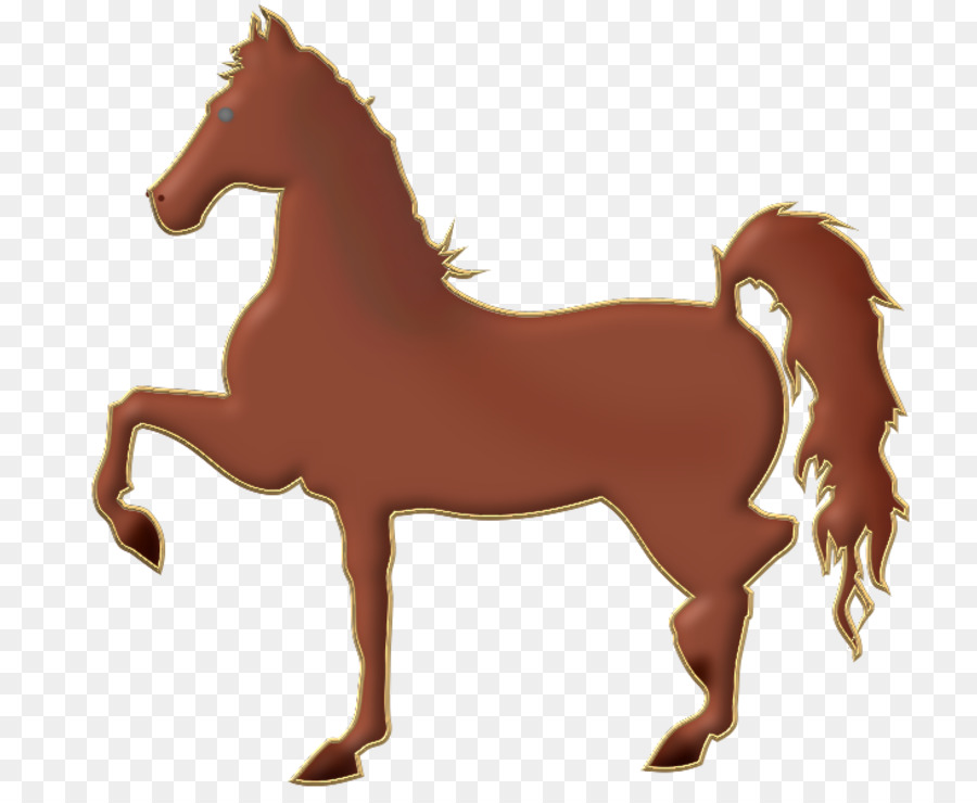 American Saddlebred，Potro PNG