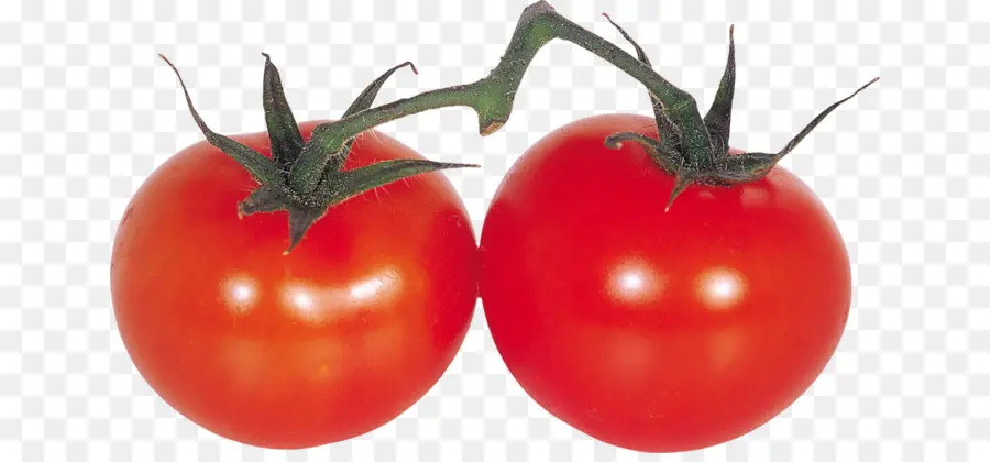 Tomate Ciruela，Bush Tomate PNG