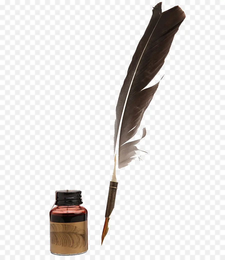 Pluma Y Tinta，Pluma PNG