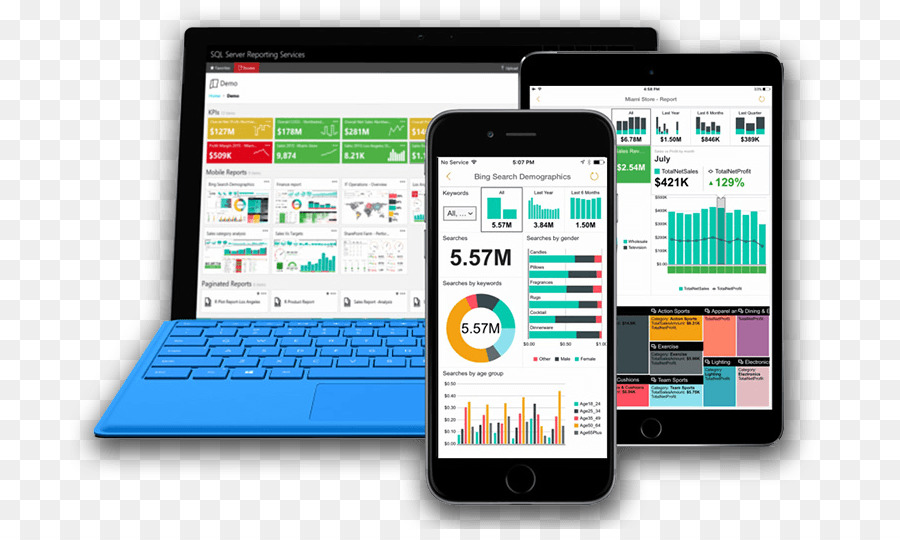 Sql Server Reporting Services，Microsoft Sql Server PNG