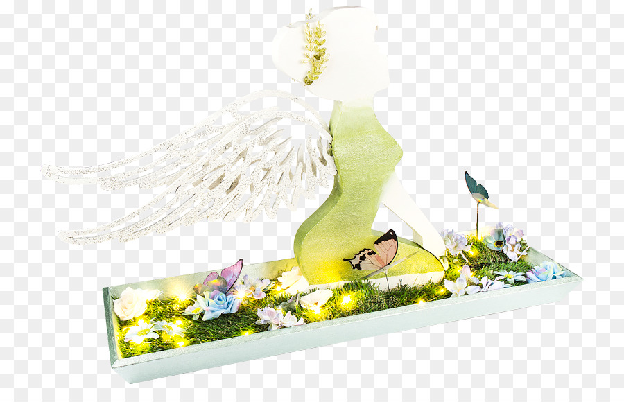 Pluma，Parakeet PNG