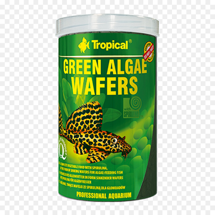 Las Algas，La Espirulina PNG