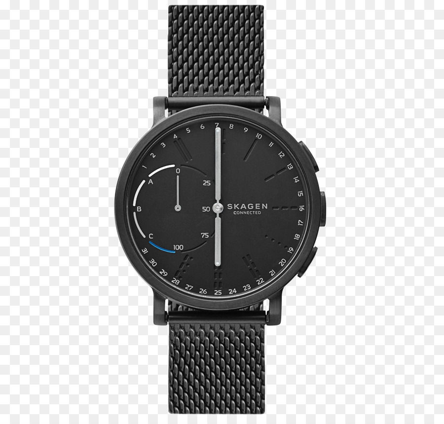 Skagen Hagen Conectado，Skagen Dinamarca PNG