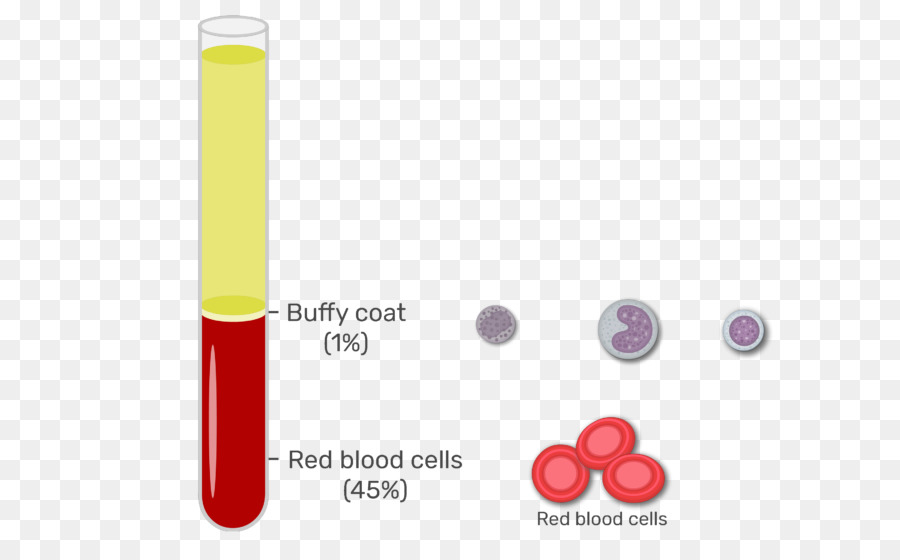 Buffy Coat，Células Rojas De La Sangre PNG