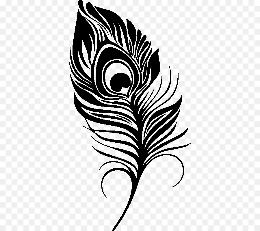 Pluma De Pavo Real，Negro PNG