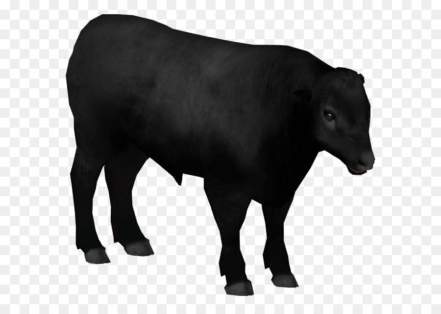 Ganado Lechero，Ganado Angus PNG