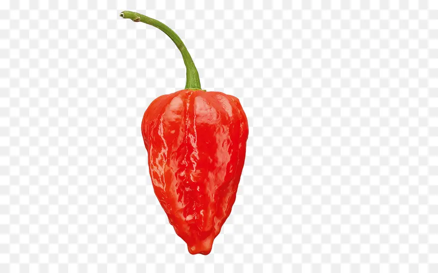 Habanero，Tabasco Pimienta PNG