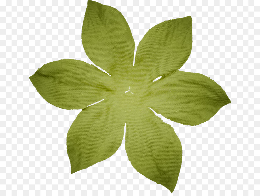 Hoja，Verde PNG