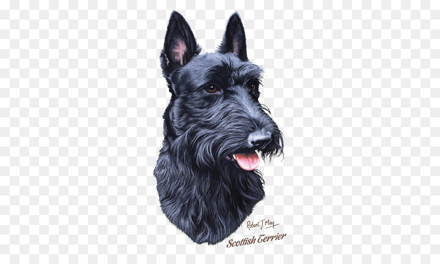 Schnauzer Miniatura，Scottish Terrier PNG