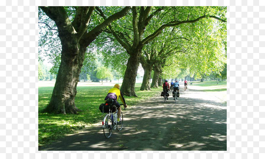 La Bicicleta De Carretera，El Victoria Park De Londres PNG