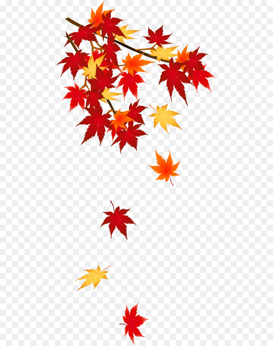 Hojas De Otoño，Caer PNG