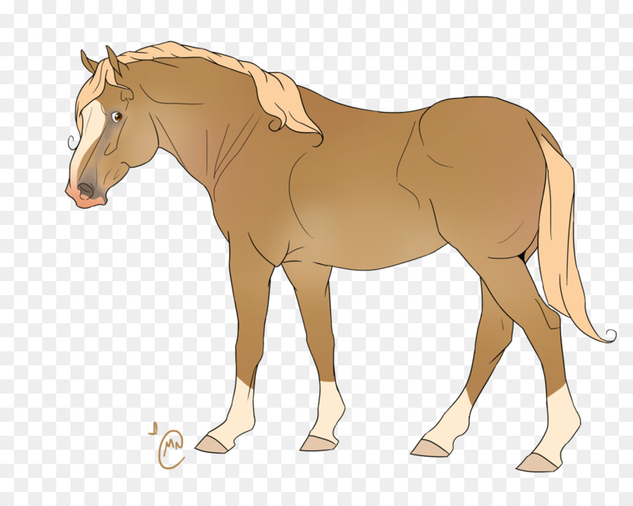 Caballo，Equino PNG