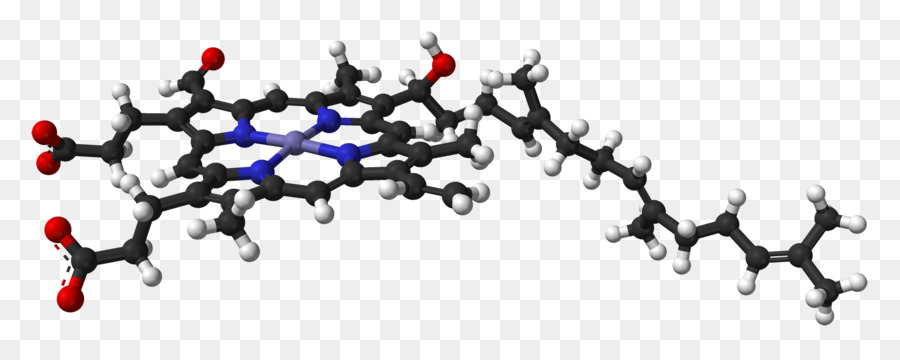 Cuerpo Humano，El Cuerpo De La Joyería PNG