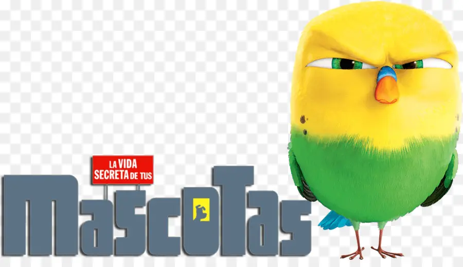 Pájaro，Loro PNG