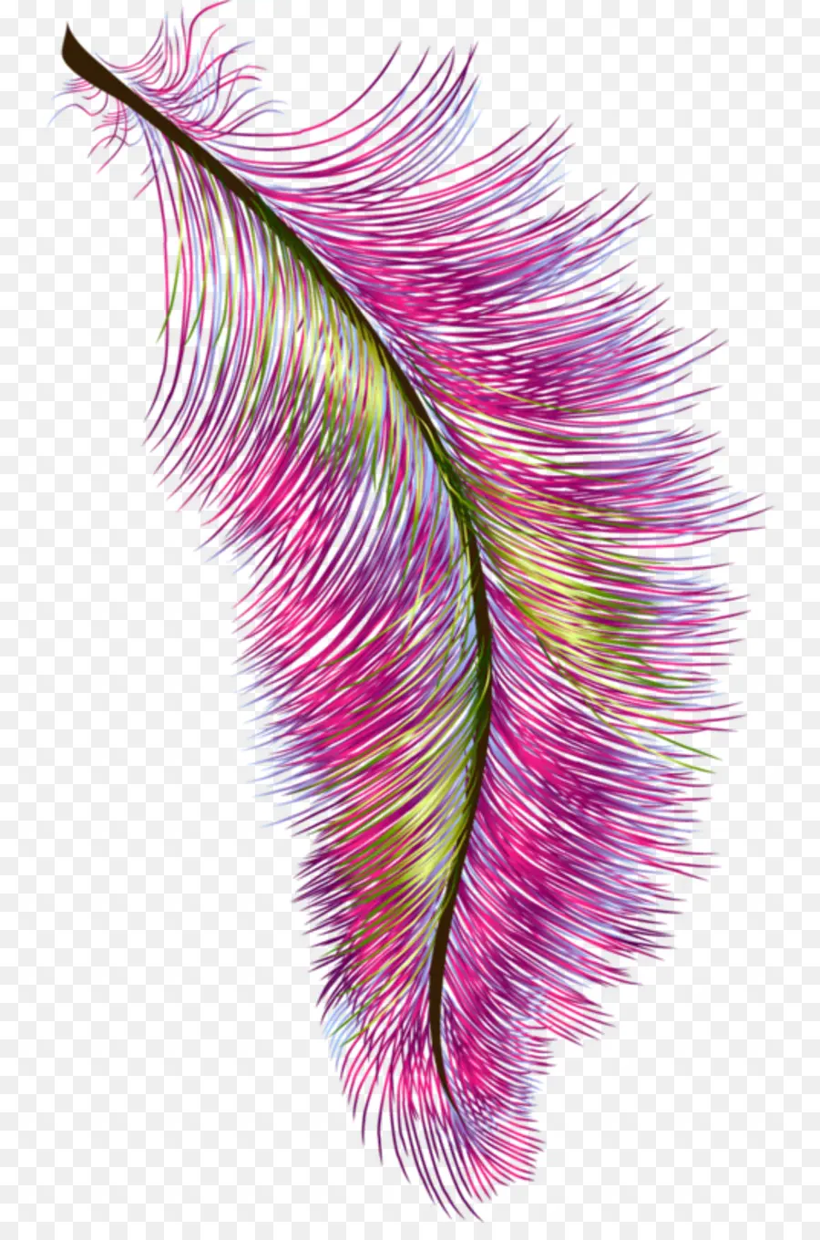 Pluma Colorida，Rosa PNG