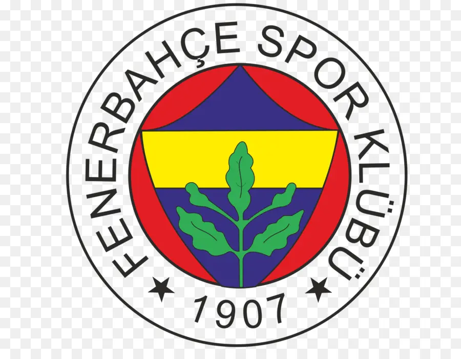 El Fenerbahçe Sk，El Fenerbahçe De Voleibol De Hombres PNG