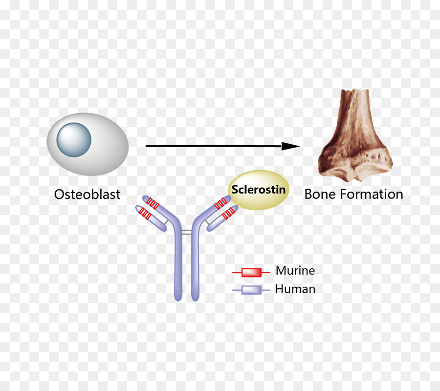 Daratumumab，Psoriasis PNG