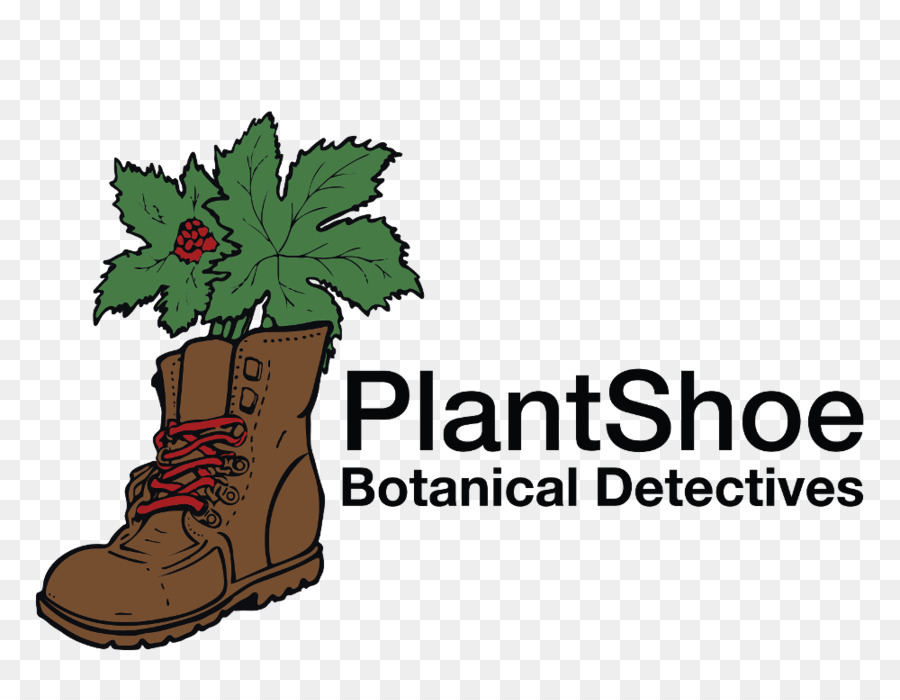 Detective，Planta PNG