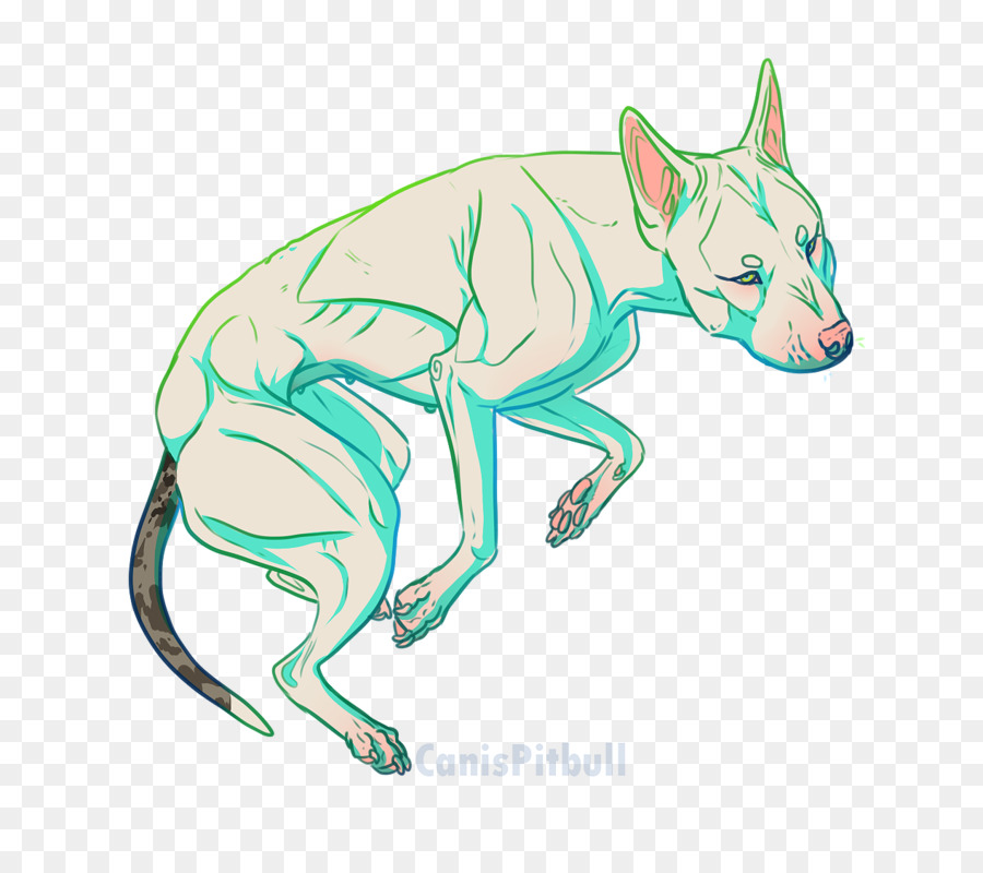 Canidae，Dibujo PNG