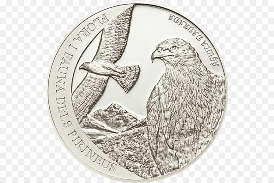 Moneda，Numismática PNG