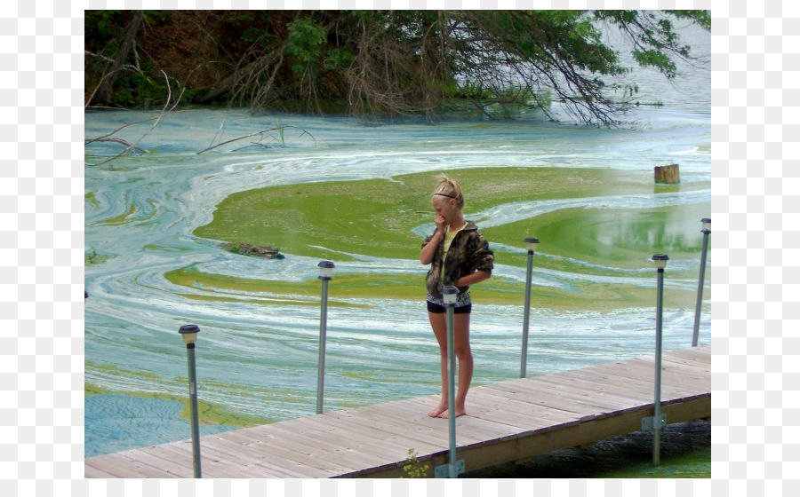 Florecimiento De Algas，Grand Lake St Marys State Park PNG