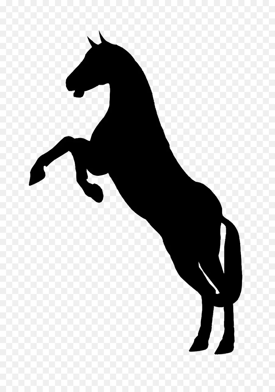 Caballo Encabritado，Negro PNG