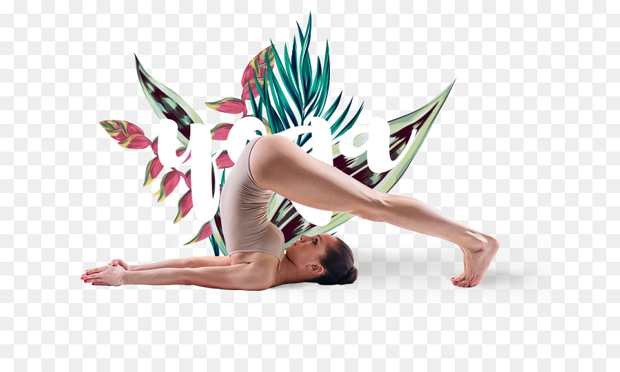 Yoga，Ashtanga PNG