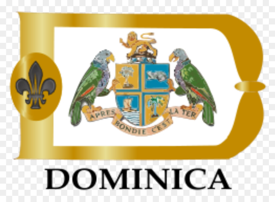 Dominica，Asociación De Scouts De Dominica PNG