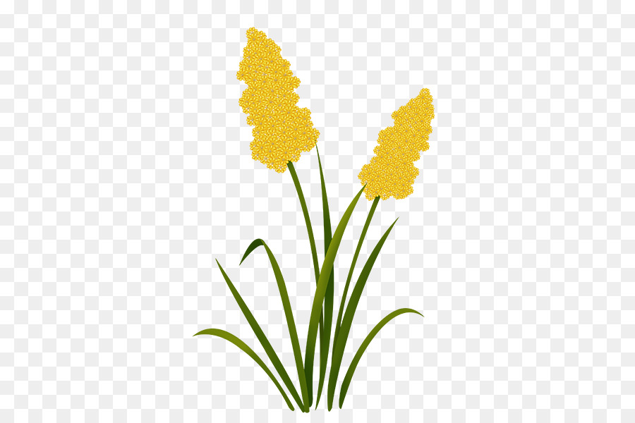 Diente De León，Cortar Flores PNG